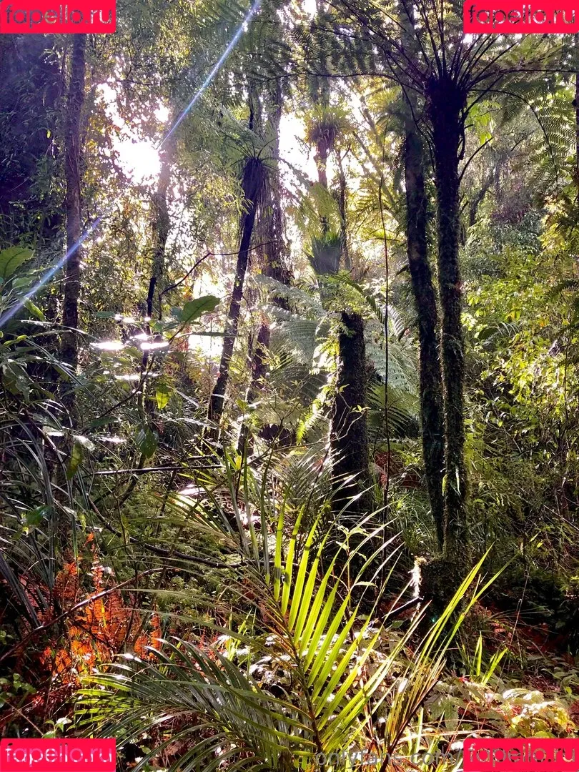 smilingcici / smilingdutchie1 Onlyfans Photo Gallery 