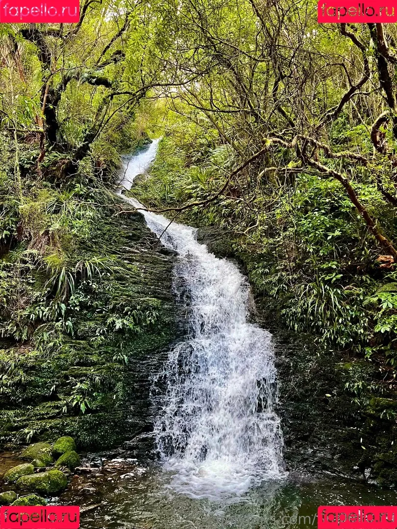 smilingcici / smilingdutchie1 Onlyfans Photo Gallery 