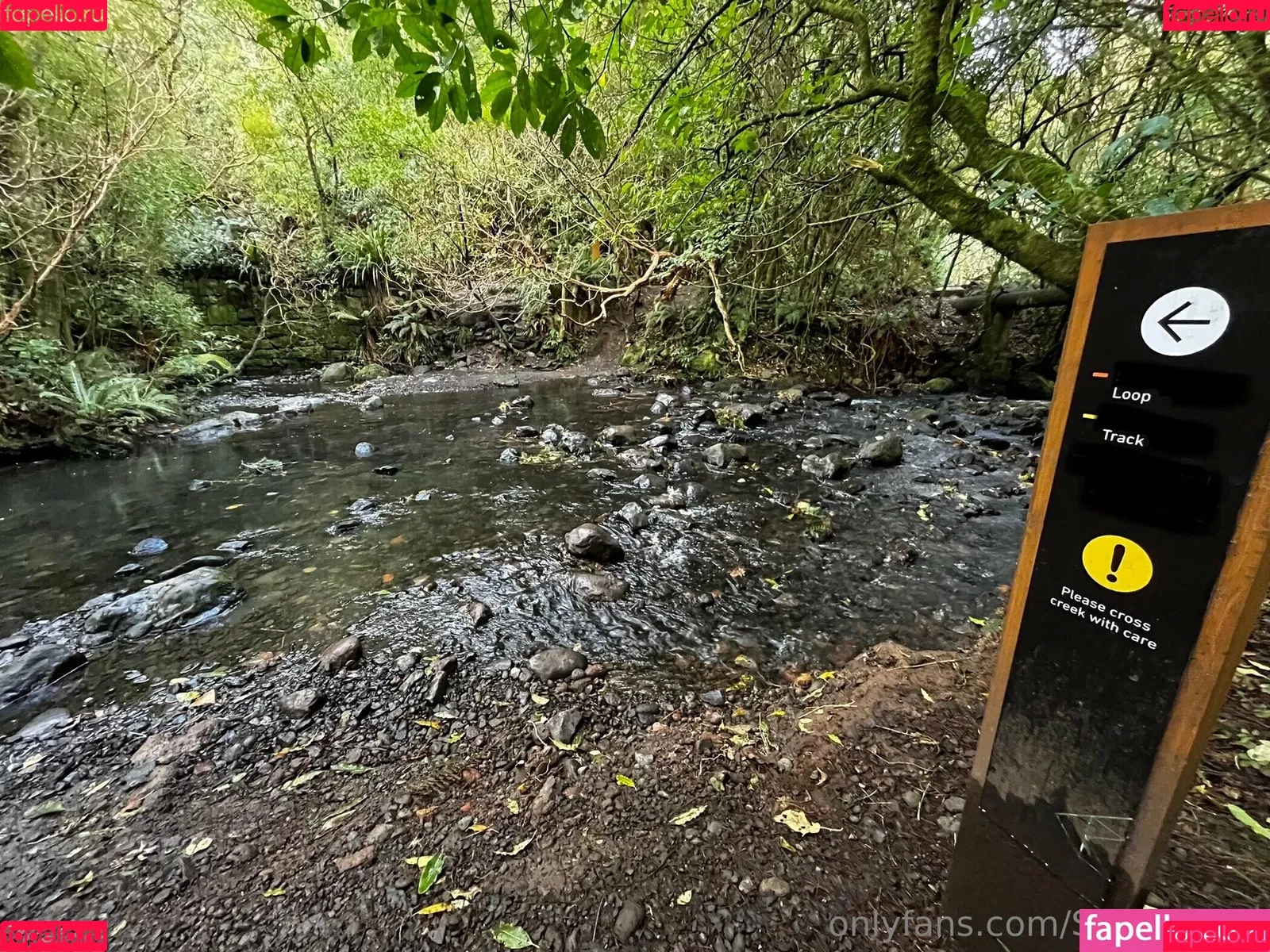 smilingcici / smilingdutchie1 Onlyfans Photo Gallery 