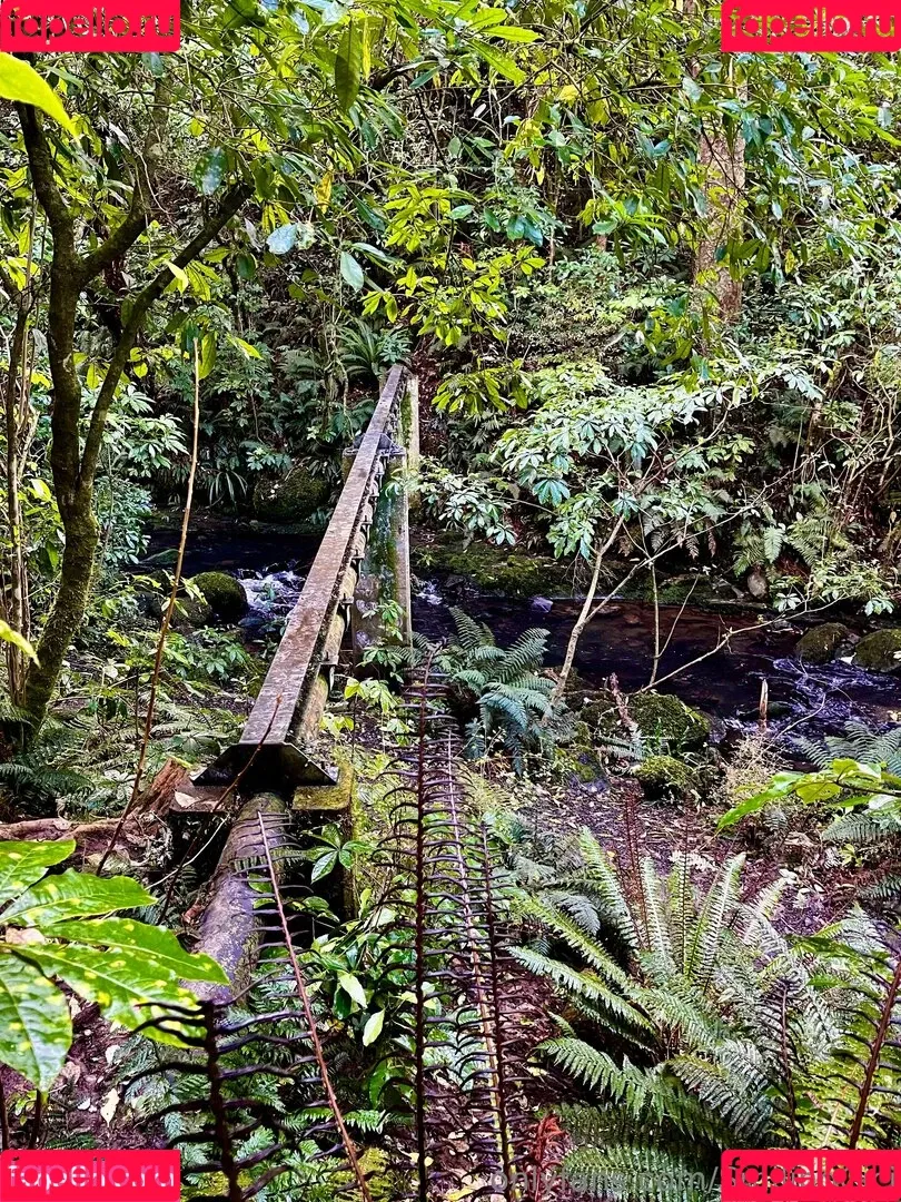 smilingcici / smilingdutchie1 Onlyfans Photo Gallery 