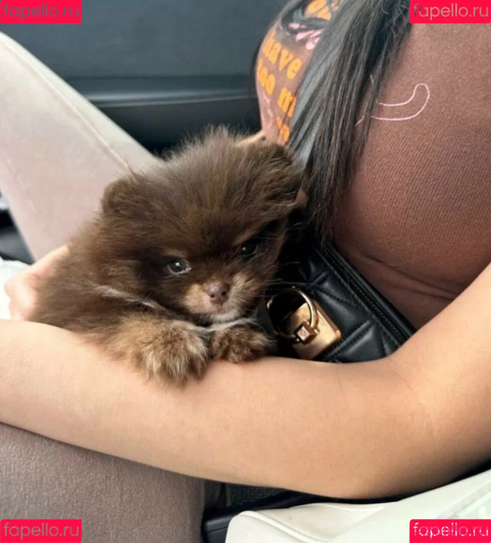 AriaSaki / simplyjustaria Onlyfans Photo Gallery 