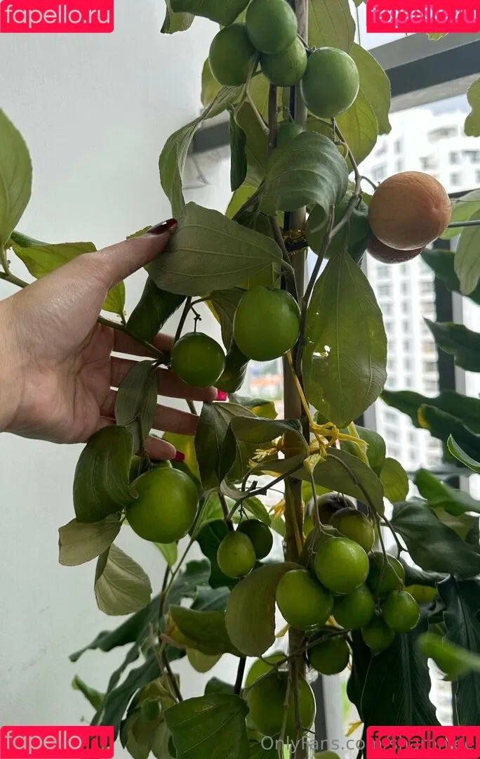 Sharonlee / sharonleeofficial Onlyfans Photo Gallery 