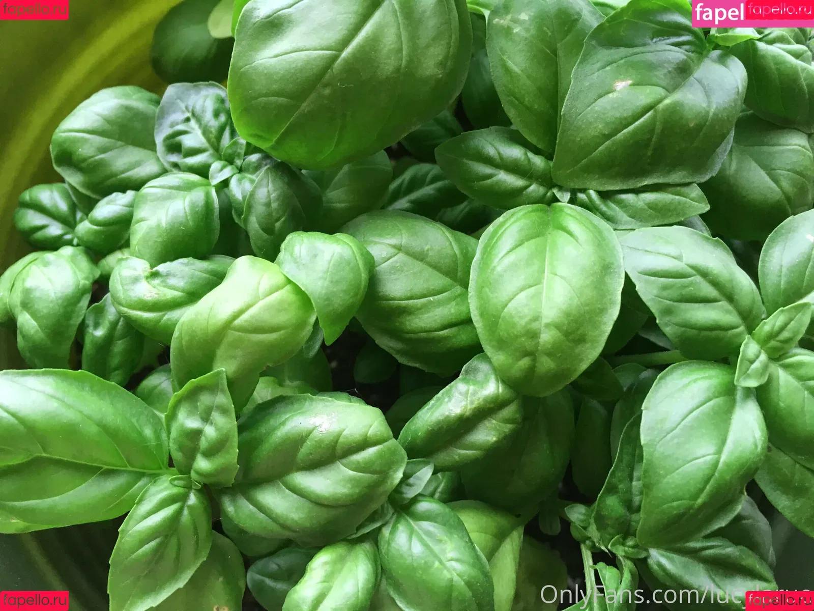 lucylarue / lucylaruesdailystyle Onlyfans Photo Gallery 