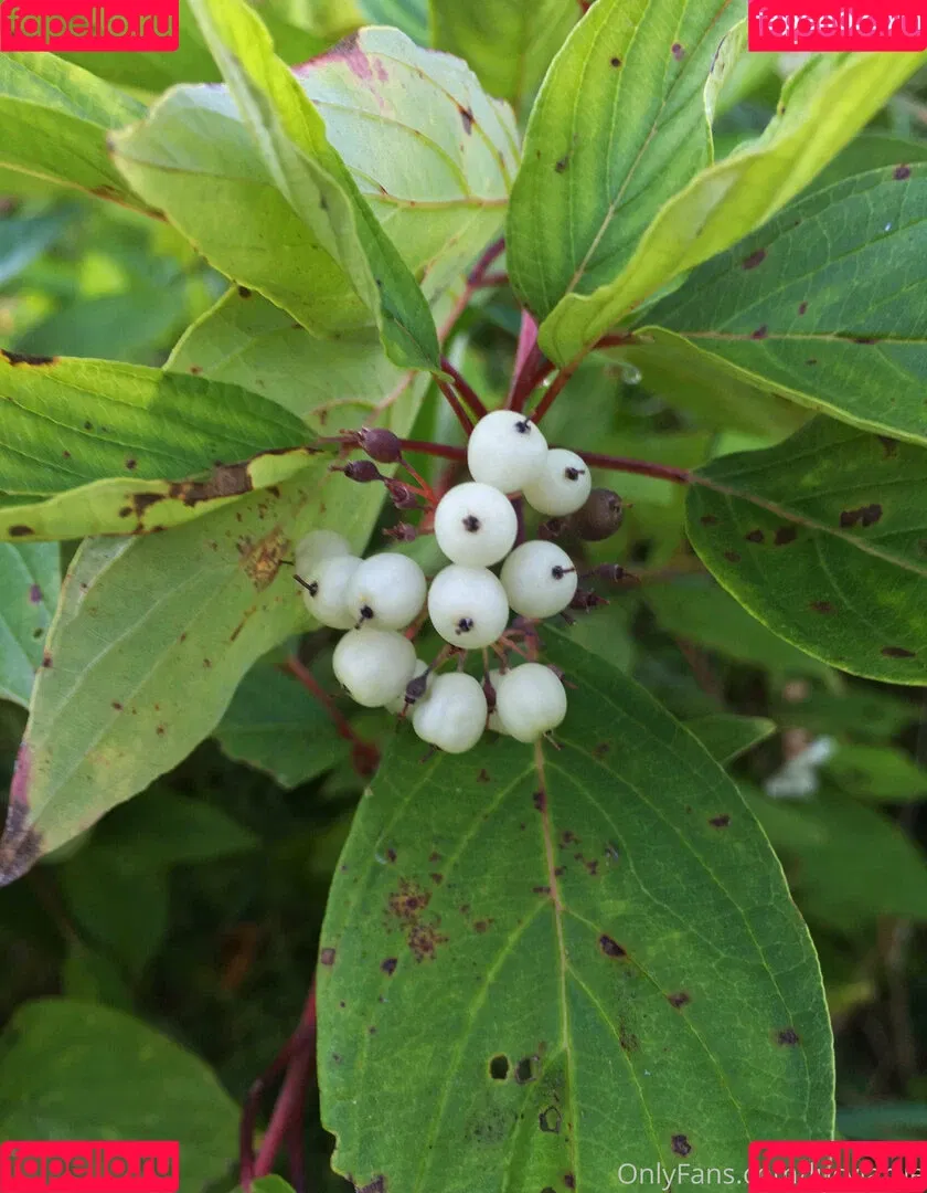 lucylarue / lucylaruesdailystyle Onlyfans Photo Gallery 