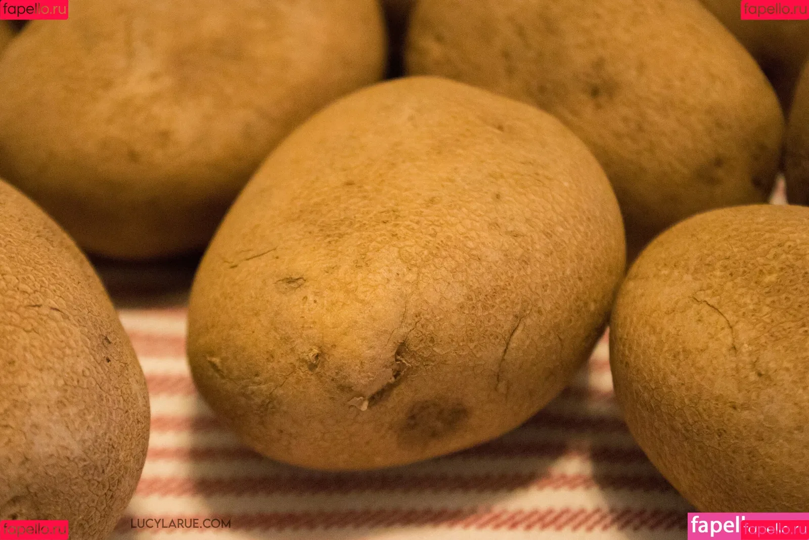 lucylarue / lucylaruesdailystyle Onlyfans Photo Gallery 