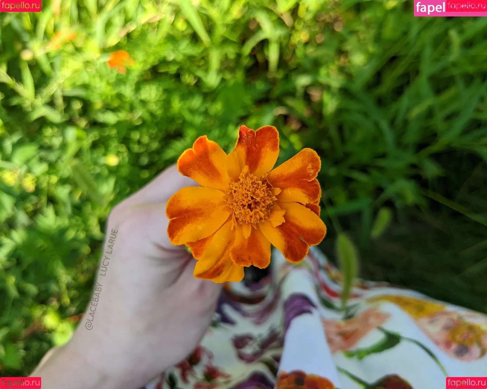 lucylarue / lucylaruesdailystyle Onlyfans Photo Gallery 