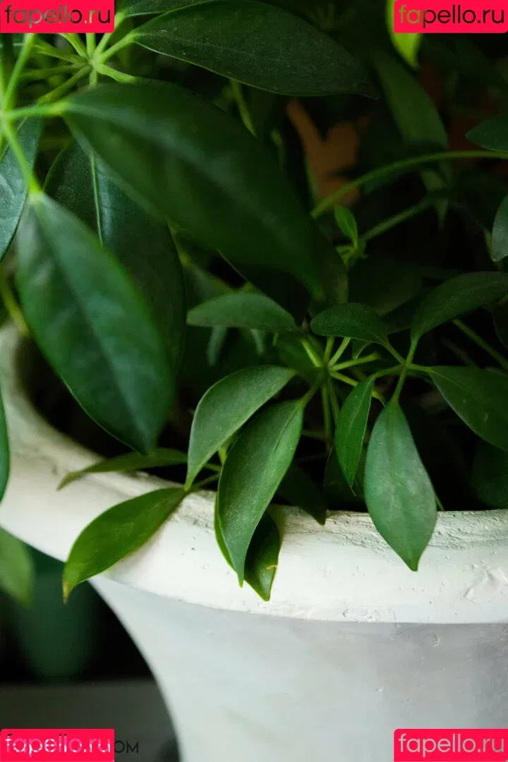 lucylarue / lucylaruesdailystyle Onlyfans Photo Gallery 