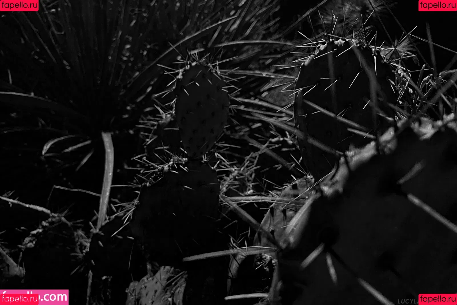 lucylarue / lucylaruesdailystyle Onlyfans Photo Gallery 