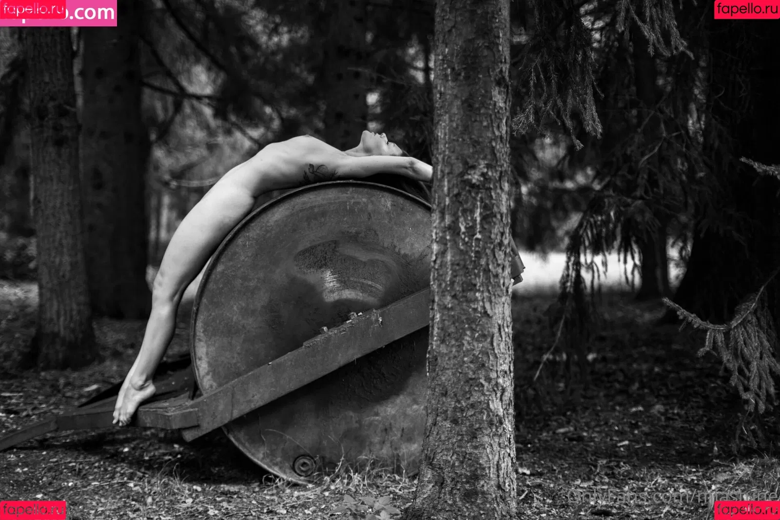 Mia Sollis / miastune Onlyfans Photo Gallery 