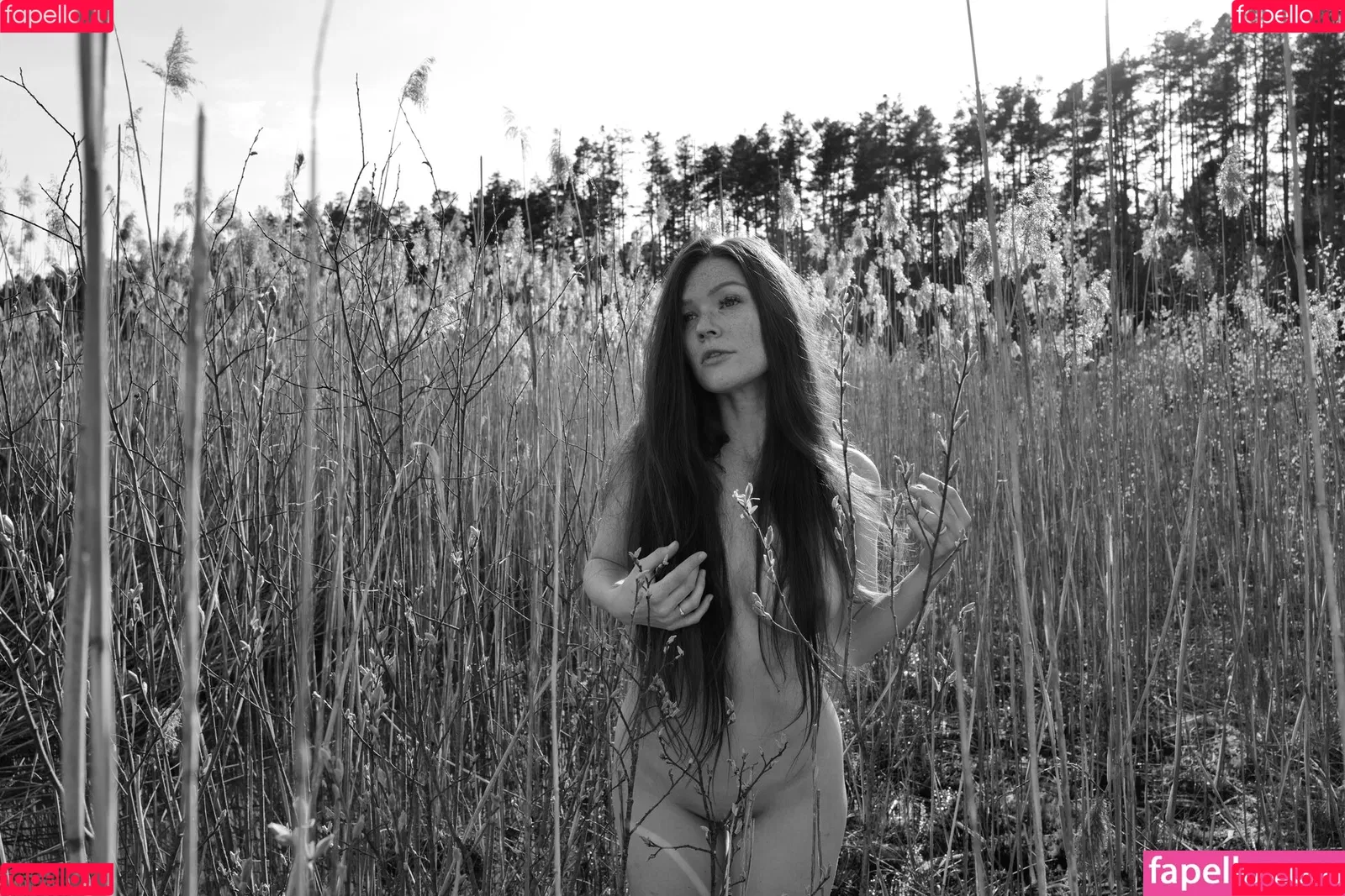 Mia Sollis / miastune Onlyfans Photo Gallery 