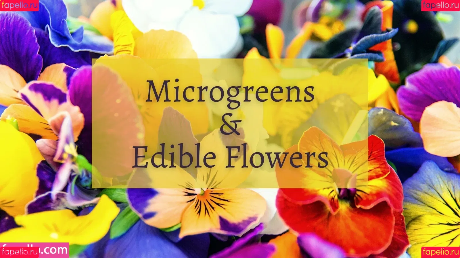 life_over40 / lifeover40 Onlyfans Photo Gallery 