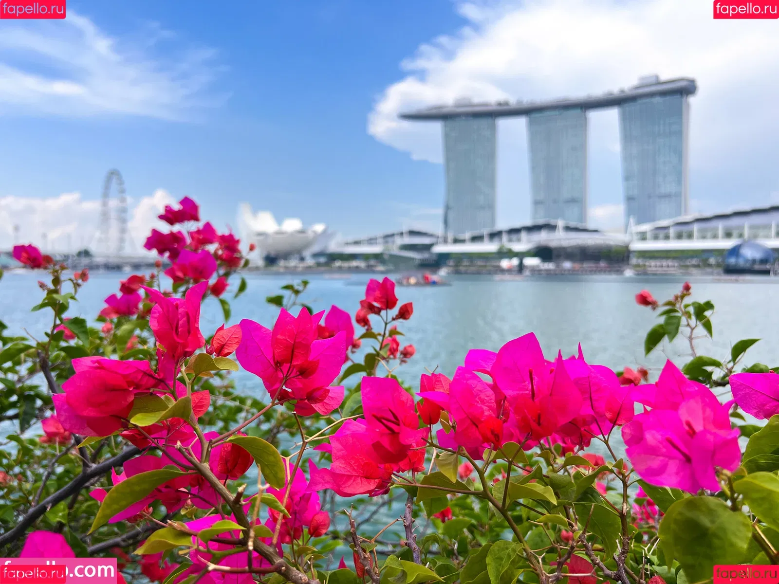 life_over40 / lifeover40 Onlyfans Photo Gallery 