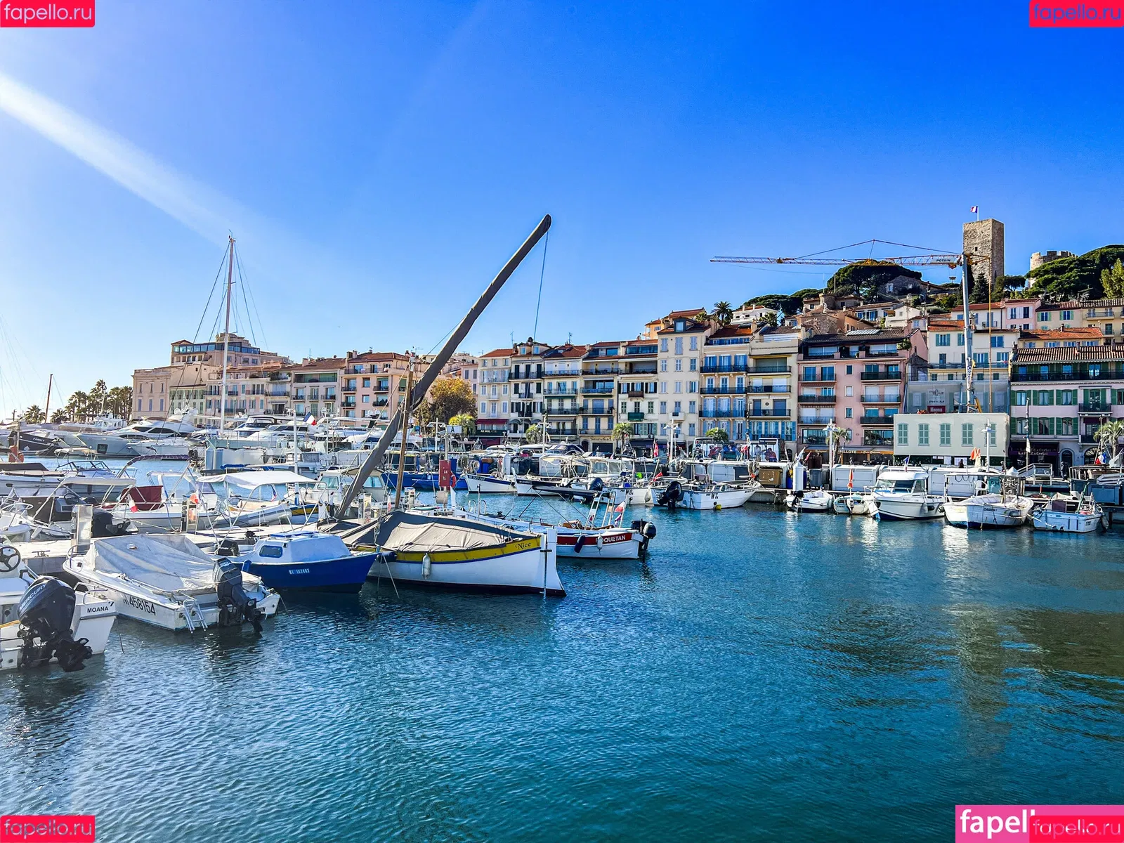 life_over40 / lifeover40 Onlyfans Photo Gallery 