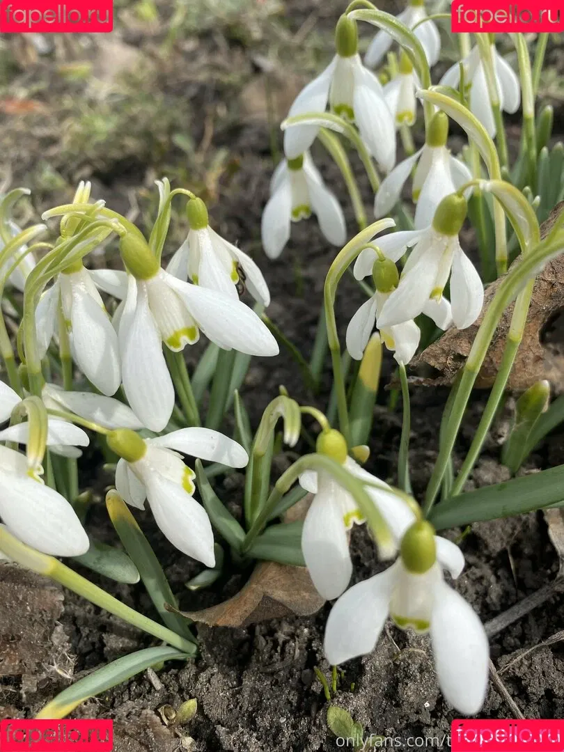 Tobinedamfree / calciumcannon9000 Onlyfans Photo Gallery 