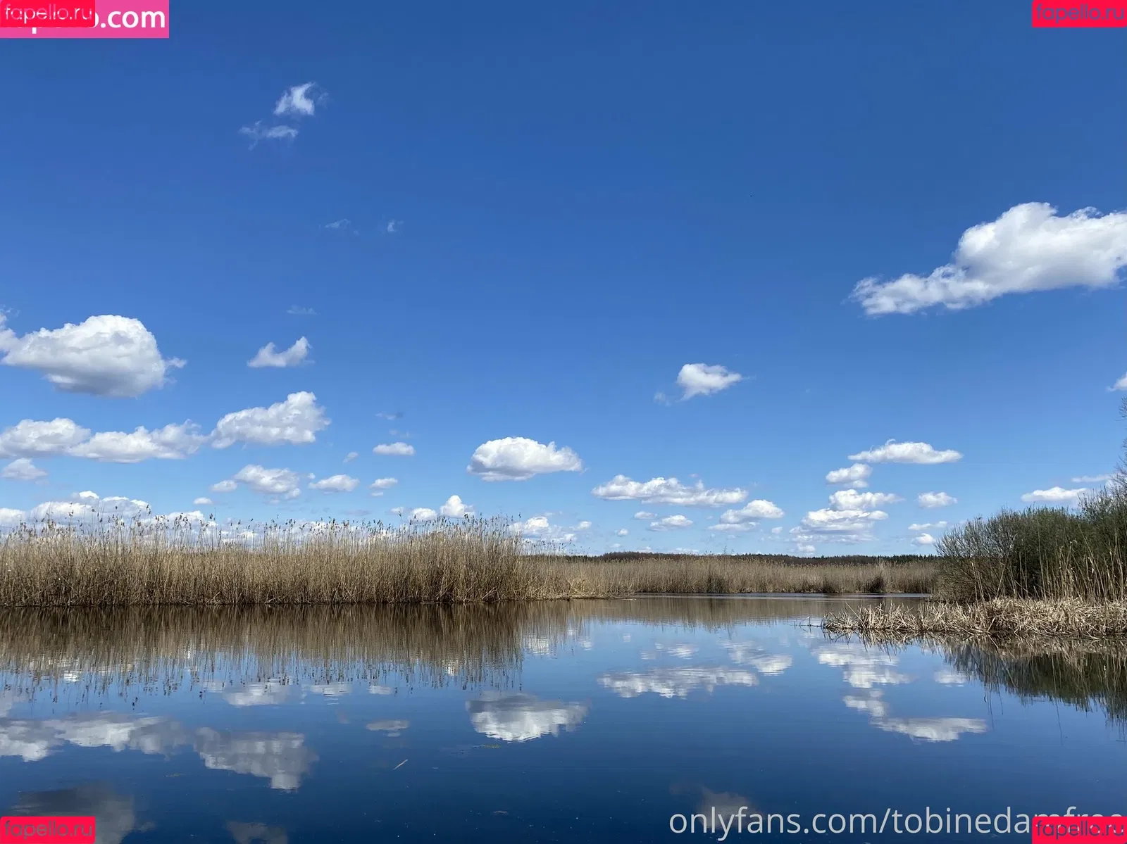 Tobinedamfree / calciumcannon9000 Onlyfans Photo Gallery 