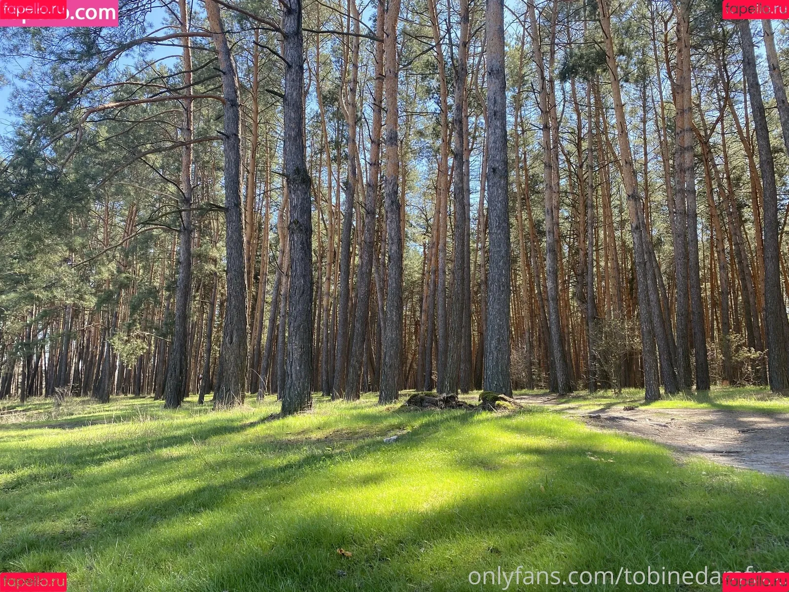 Tobinedamfree / calciumcannon9000 Onlyfans Photo Gallery 