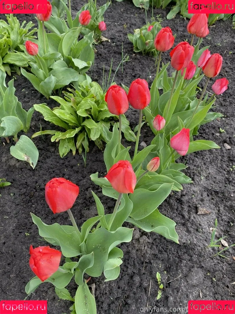 Tobinedamfree / calciumcannon9000 Onlyfans Photo Gallery 