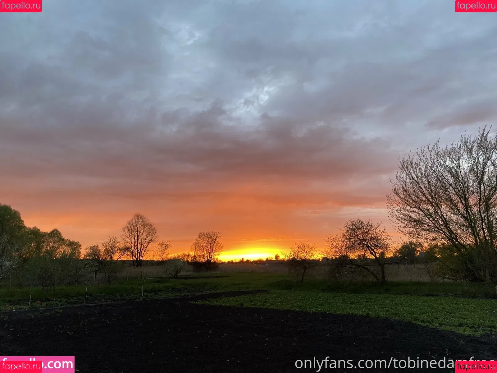 Tobinedamfree / calciumcannon9000 Onlyfans Photo Gallery 