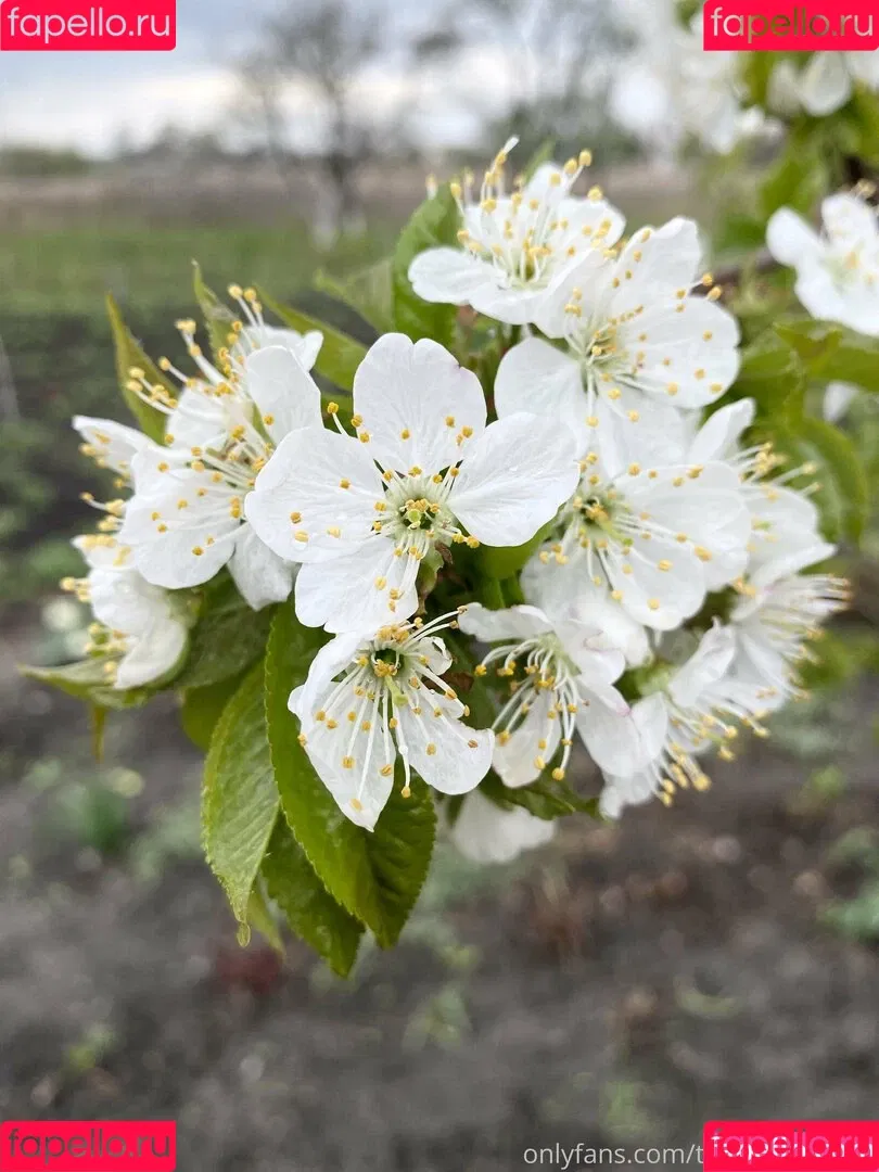 Tobinedamfree / calciumcannon9000 Onlyfans Photo Gallery 