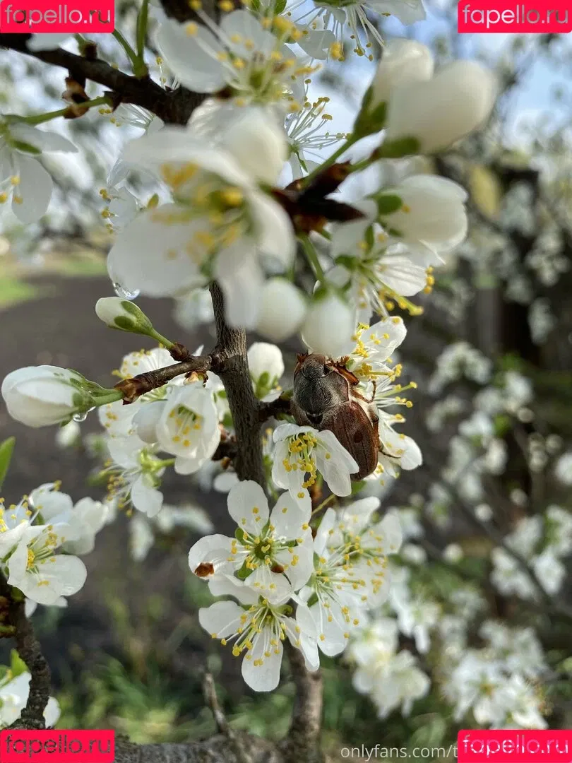 Tobinedamfree / calciumcannon9000 Onlyfans Photo Gallery 