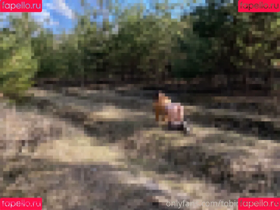 Tobinedamfree / calciumcannon9000 Onlyfans Photo Gallery 