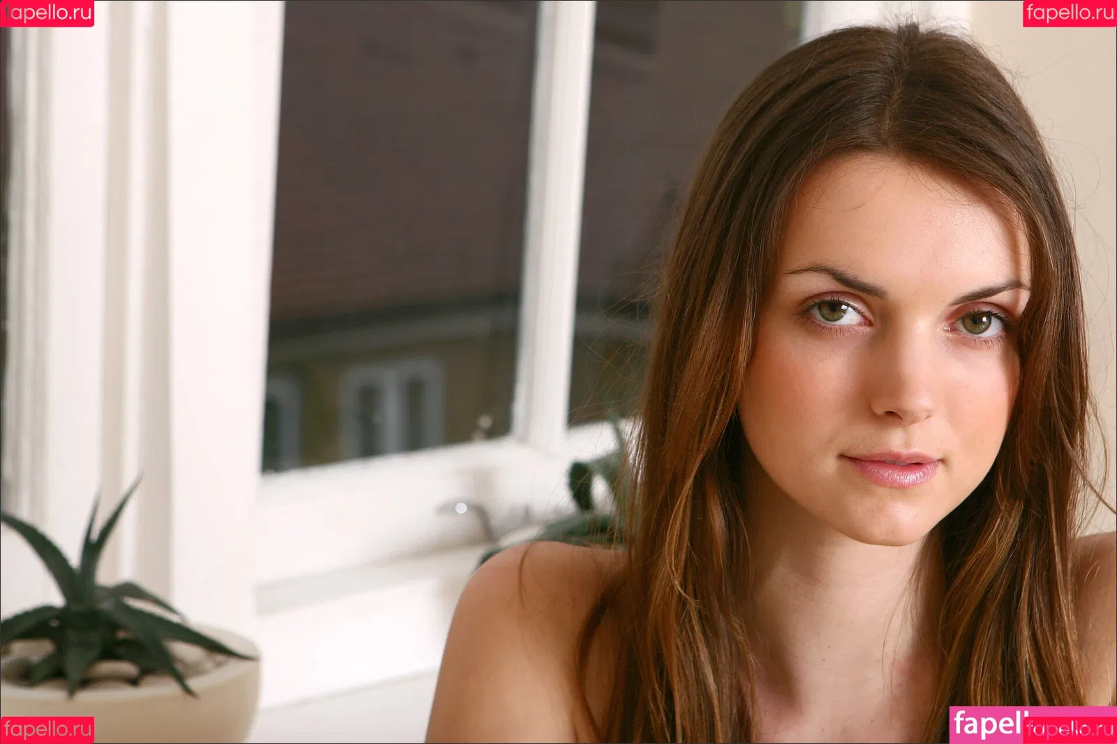 MPLStudios / mpl.studios Onlyfans Photo Gallery 