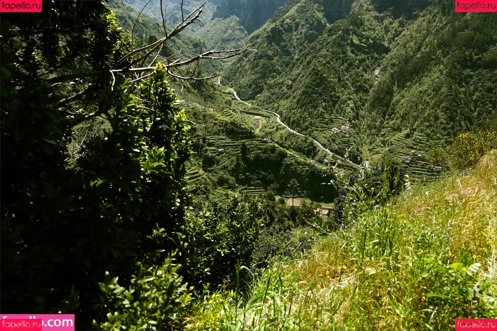 MPLStudios / mpl.studios Onlyfans Photo Gallery 