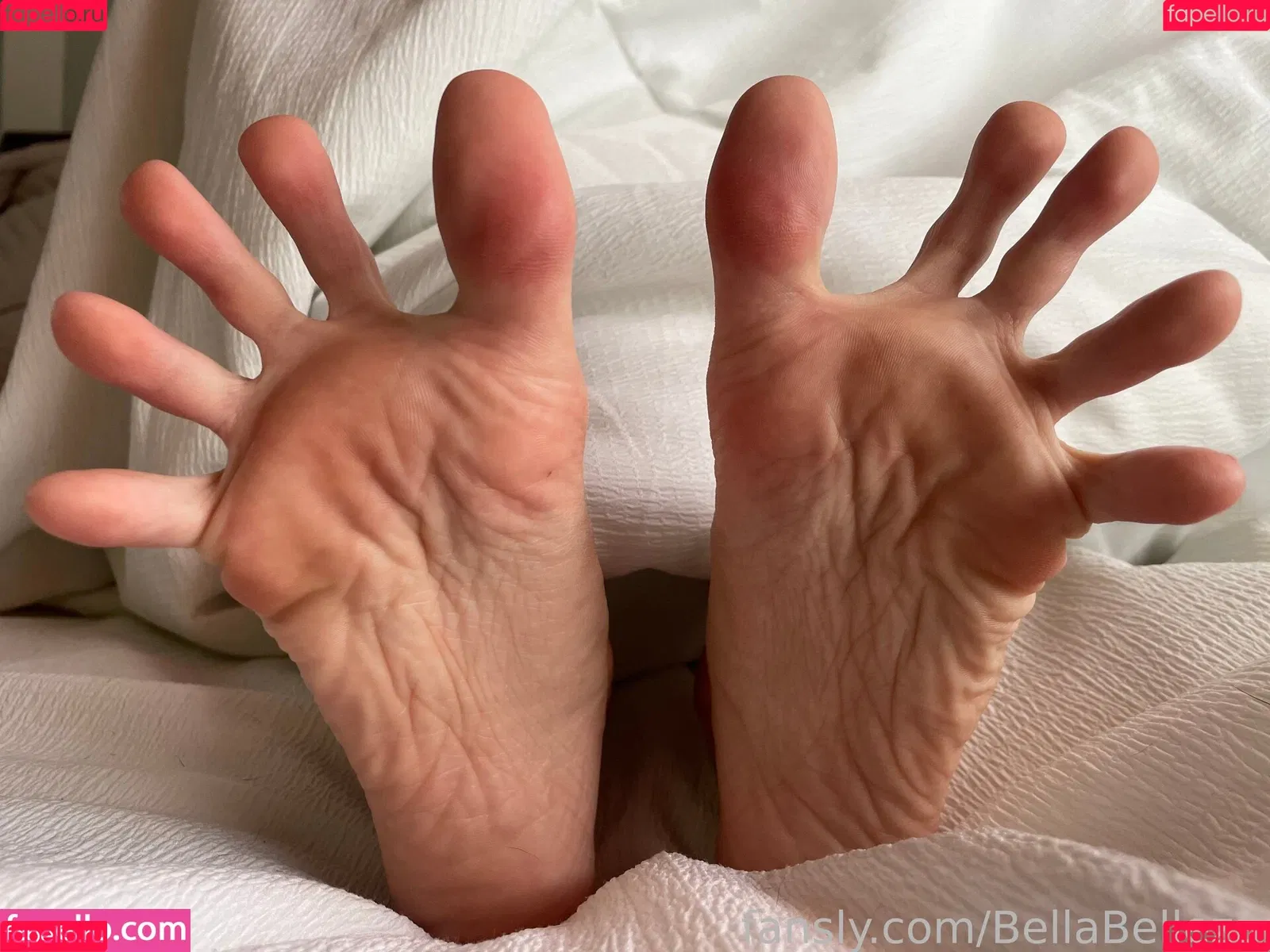 BellaBelleza / _bella_beleza_ Onlyfans Photo Gallery 