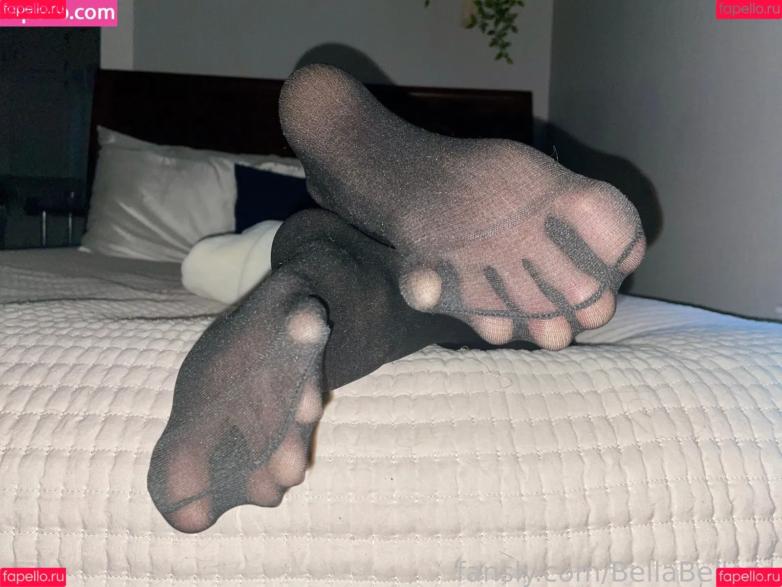 BellaBelleza / _bella_beleza_ Onlyfans Photo Gallery 