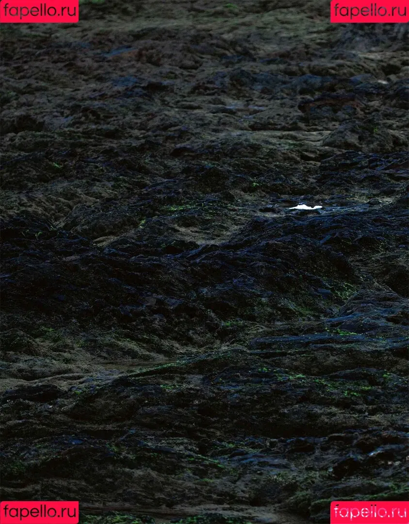 Rara Anzai / Rion / Shion Utsunomiya Onlyfans Photo Gallery 