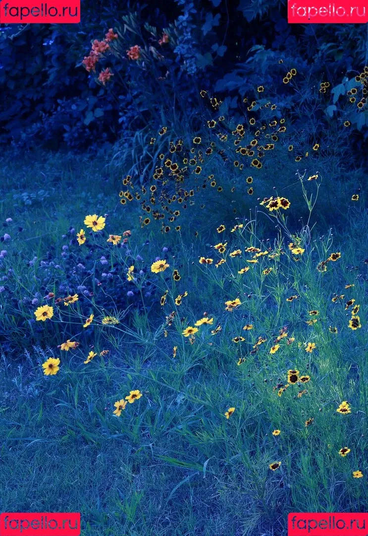 Rara Anzai / Rion / Shion Utsunomiya Onlyfans Photo Gallery 