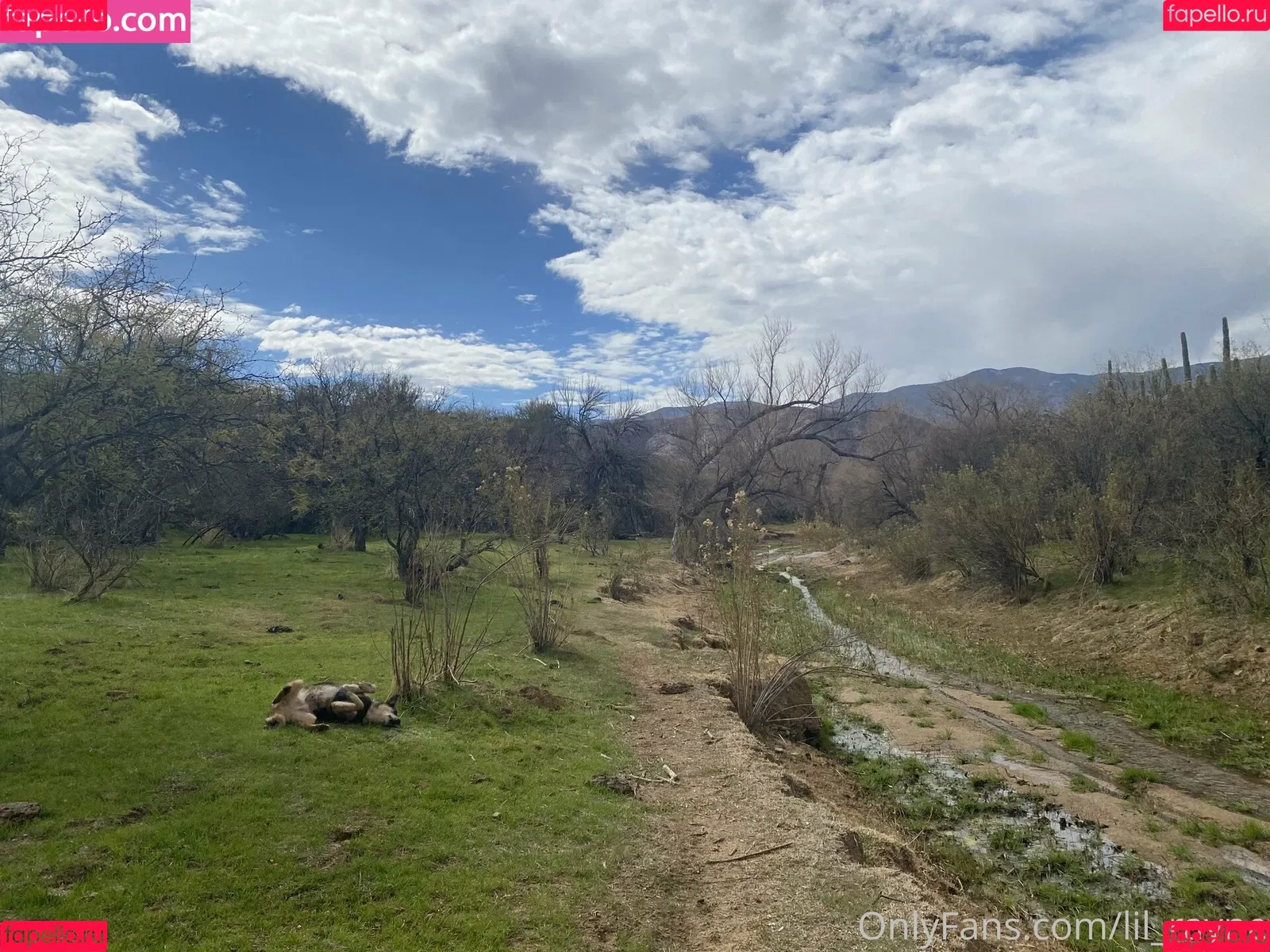 lil_rayne / lil_rayne_ Onlyfans Photo Gallery 