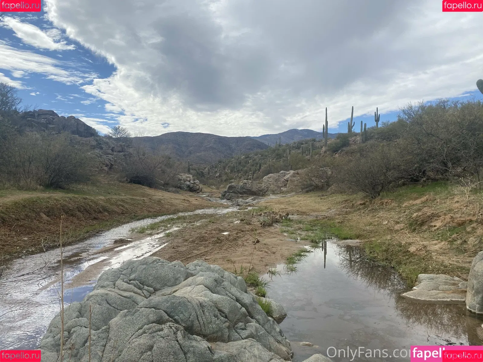 lil_rayne / lil_rayne_ Onlyfans Photo Gallery 