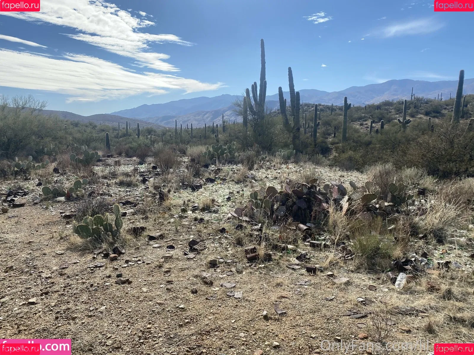 lil_rayne / lil_rayne_ Onlyfans Photo Gallery 