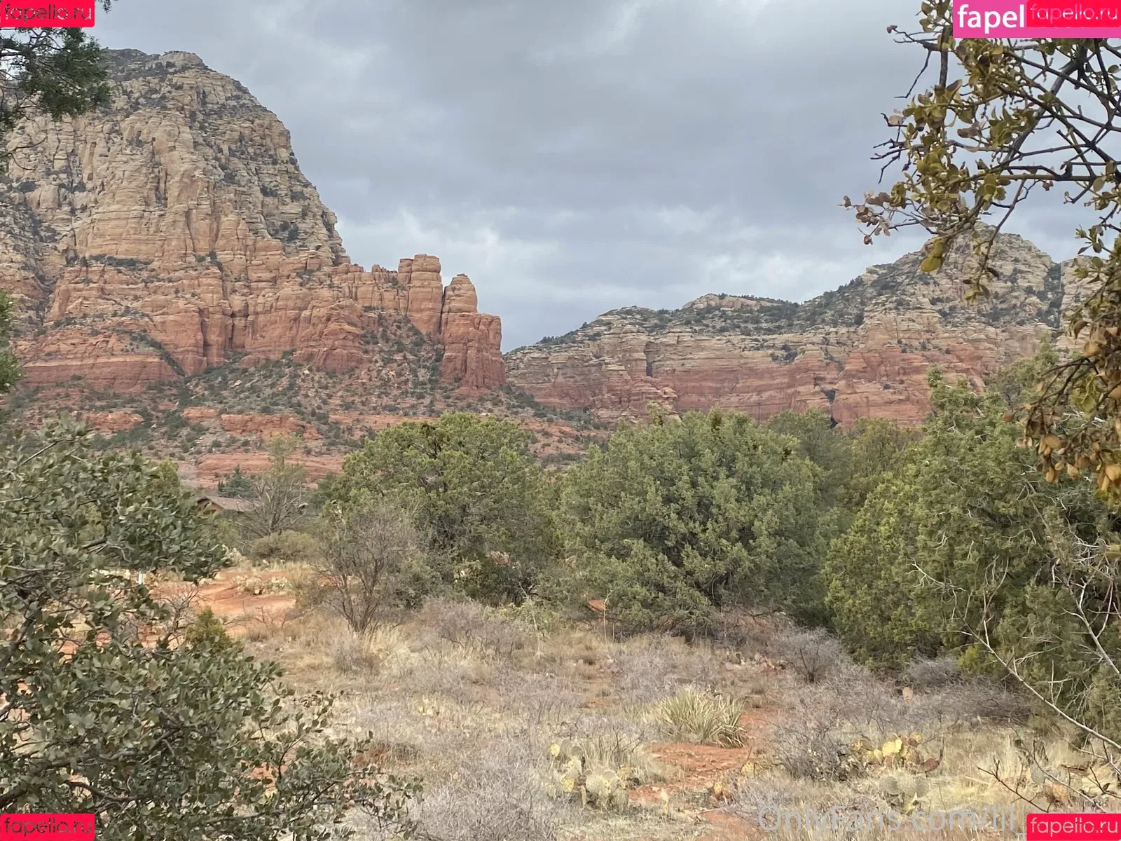 lil_rayne / lil_rayne_ Onlyfans Photo Gallery 