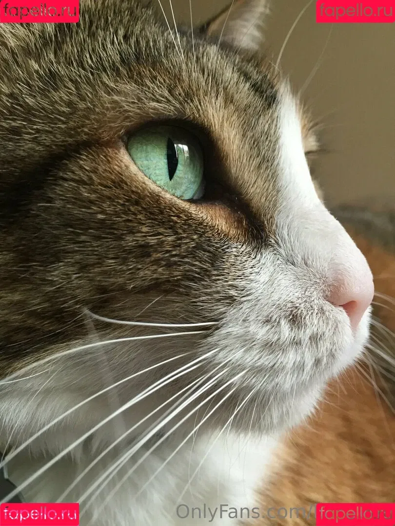 lil_rayne / lil_rayne_ Onlyfans Photo Gallery 