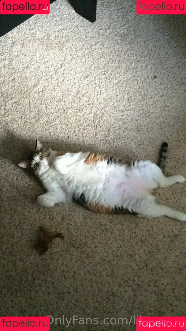 lil_rayne / lil_rayne_ Onlyfans Photo Gallery 