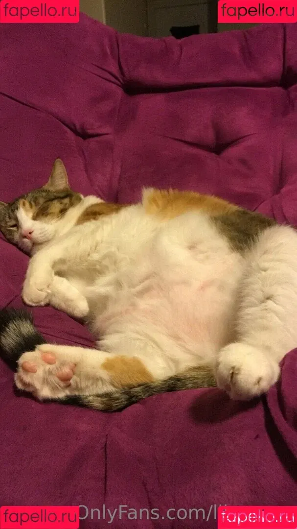 lil_rayne / lil_rayne_ Onlyfans Photo Gallery 