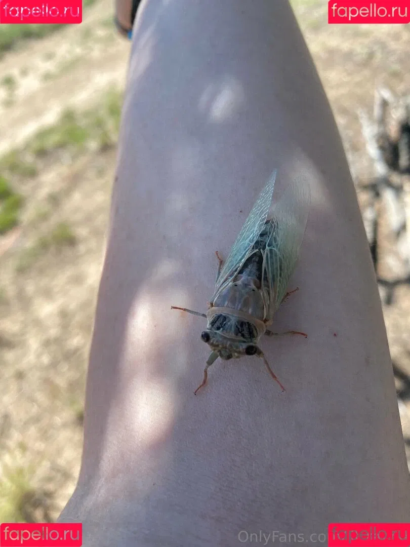 lil_rayne / lil_rayne_ Onlyfans Photo Gallery 