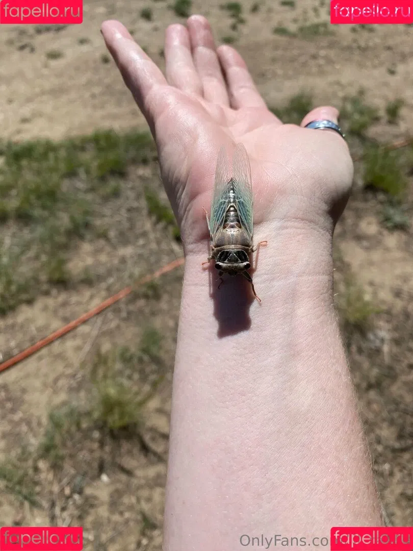 lil_rayne / lil_rayne_ Onlyfans Photo Gallery 