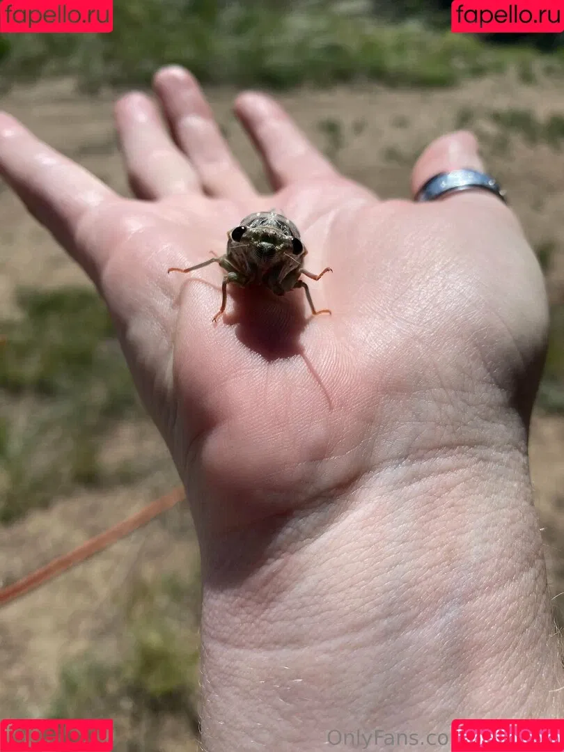 lil_rayne / lil_rayne_ Onlyfans Photo Gallery 