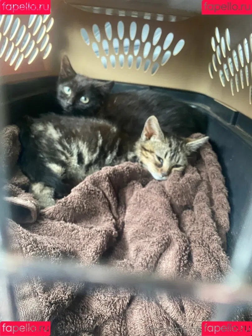 lil_rayne / lil_rayne_ Onlyfans Photo Gallery 