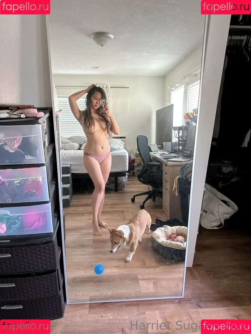 Harriet Sugarcookie / harrietirl / harrietsugarcookie / hsugarcookie Onlyfans Photo Gallery 