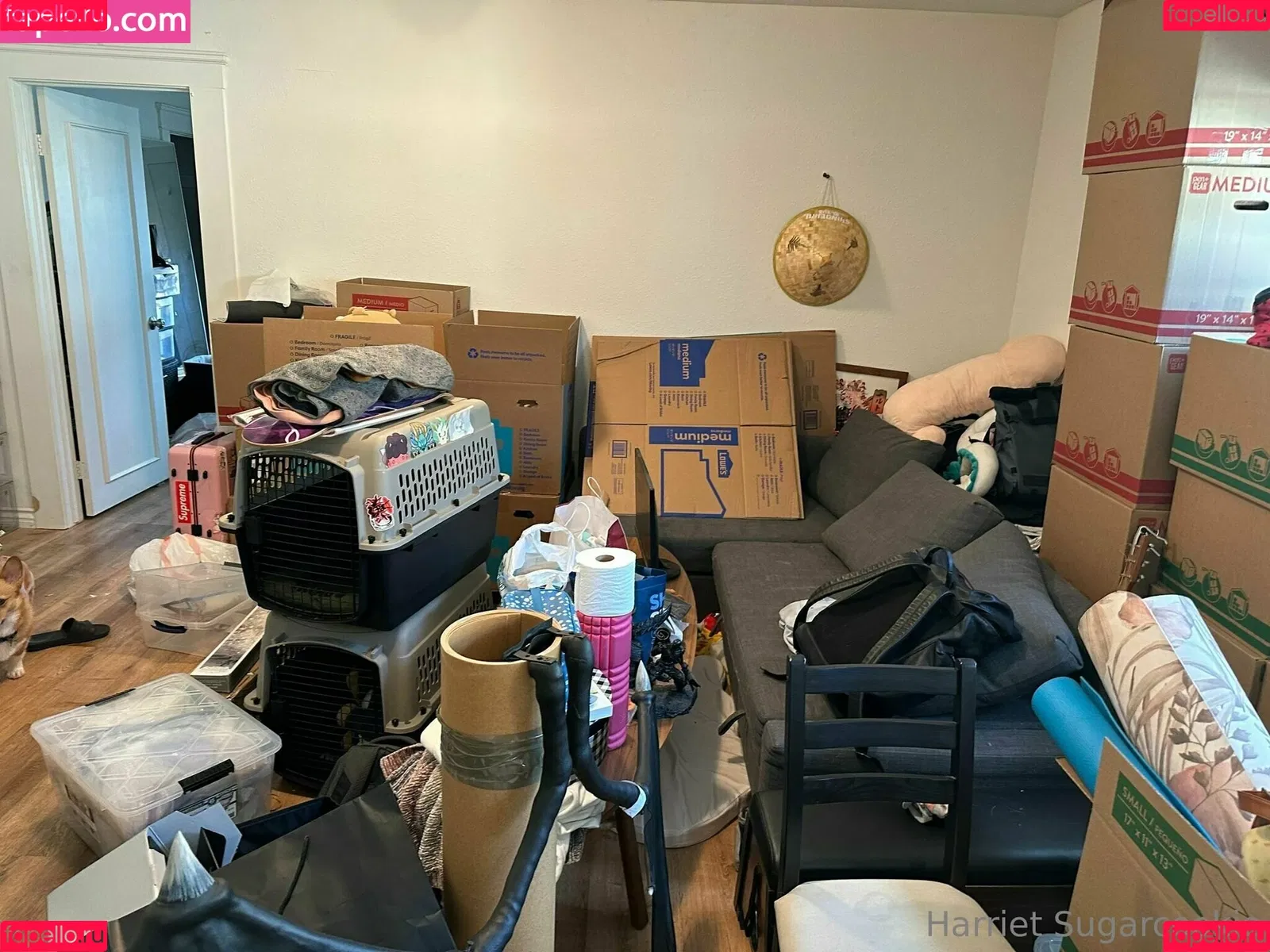 Harriet Sugarcookie / harrietirl / harrietsugarcookie / hsugarcookie Onlyfans Photo Gallery 