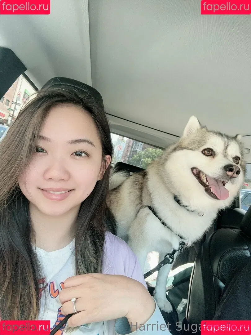 Harriet Sugarcookie / harrietirl / harrietsugarcookie / hsugarcookie Onlyfans Photo Gallery 