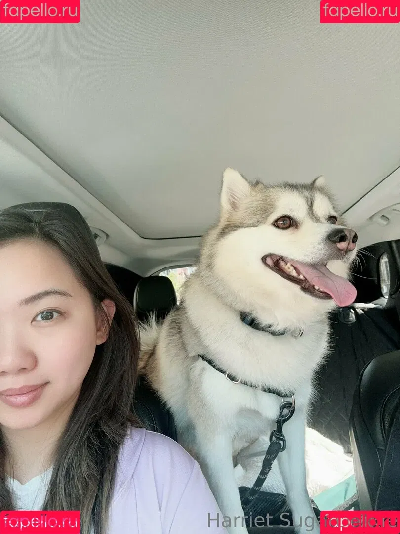 Harriet Sugarcookie / harrietirl / harrietsugarcookie / hsugarcookie Onlyfans Photo Gallery 