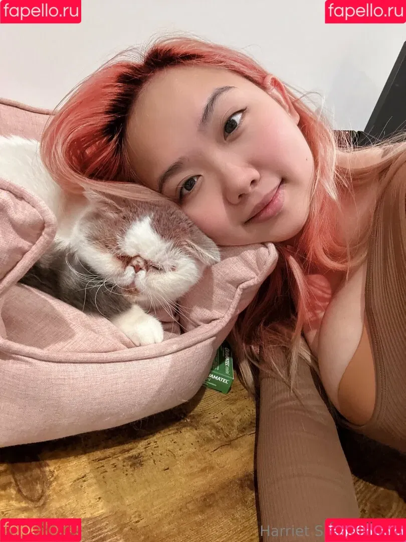 Harriet Sugarcookie / harrietirl / harrietsugarcookie / hsugarcookie Onlyfans Photo Gallery 