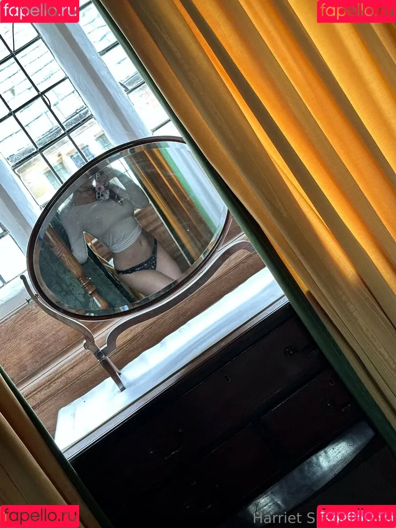 Harriet Sugarcookie / harrietirl / harrietsugarcookie / hsugarcookie Onlyfans Photo Gallery 