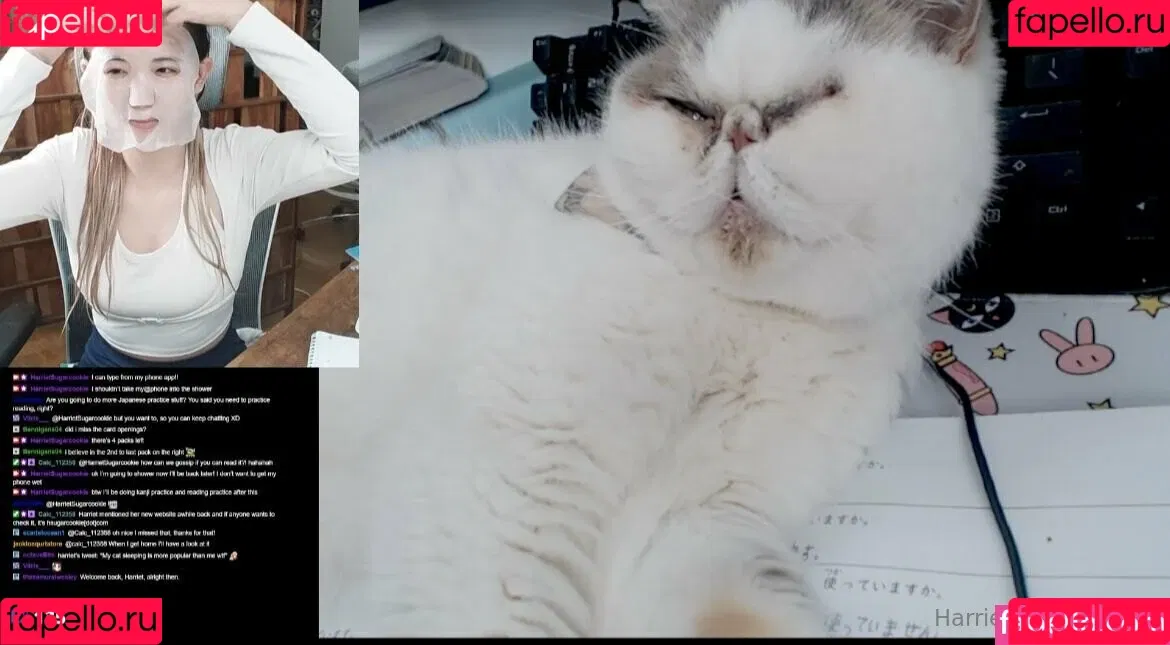 Harriet Sugarcookie / harrietirl / harrietsugarcookie / hsugarcookie Onlyfans Photo Gallery 