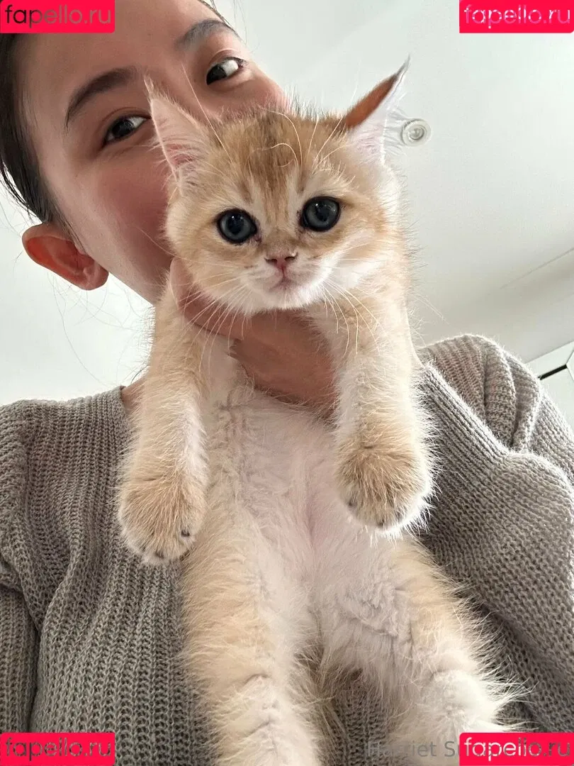 Harriet Sugarcookie / harrietirl / harrietsugarcookie / hsugarcookie Onlyfans Photo Gallery 